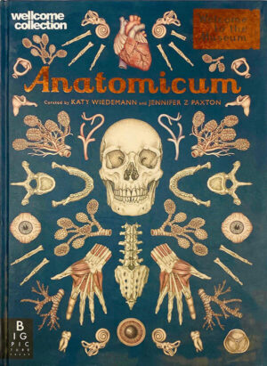 Anatomicum